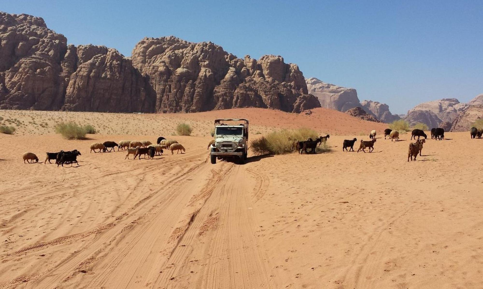 Authentic Bedouin Camp 瓦迪拉姆 外观 照片