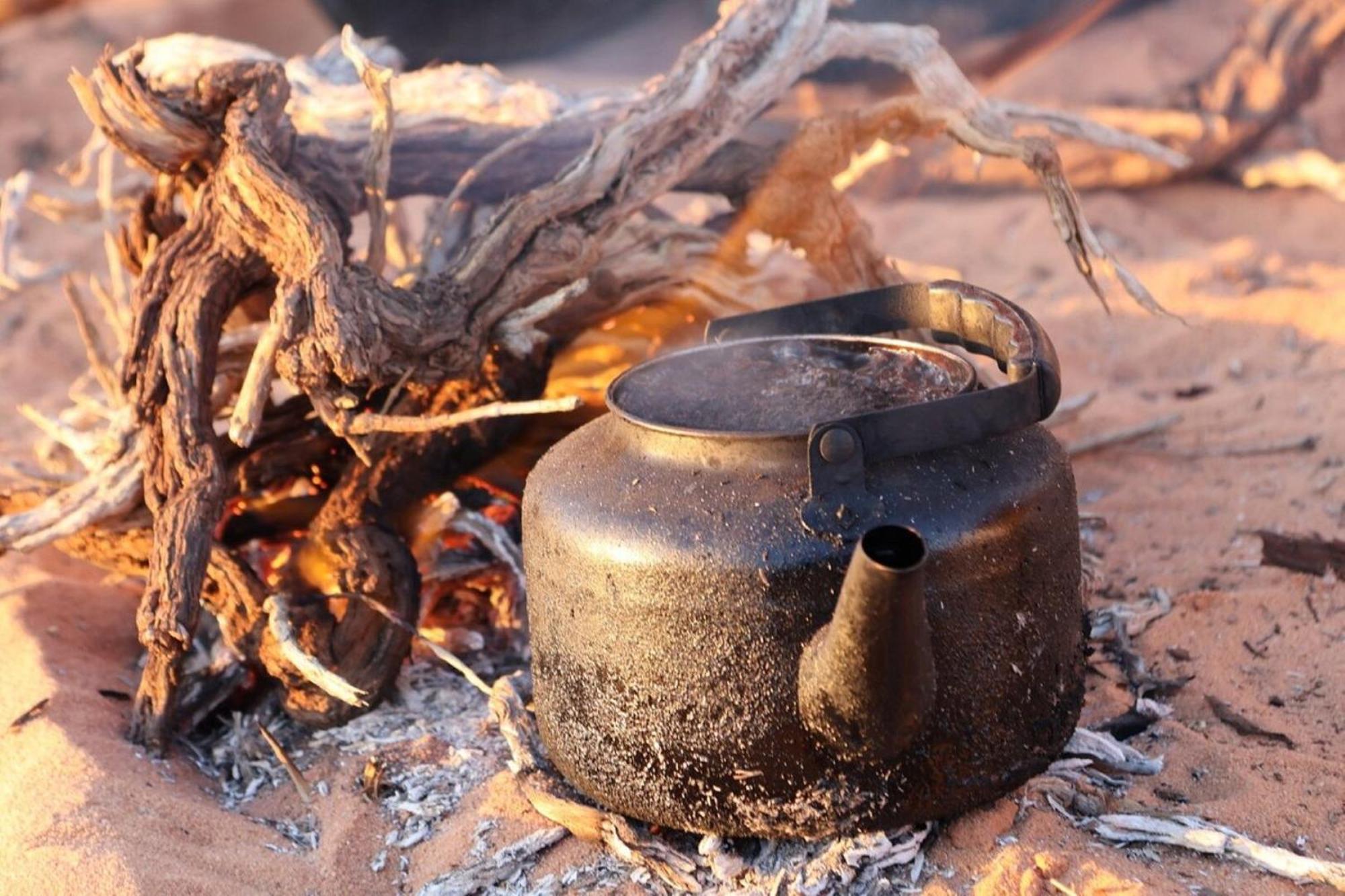 Authentic Bedouin Camp 瓦迪拉姆 外观 照片